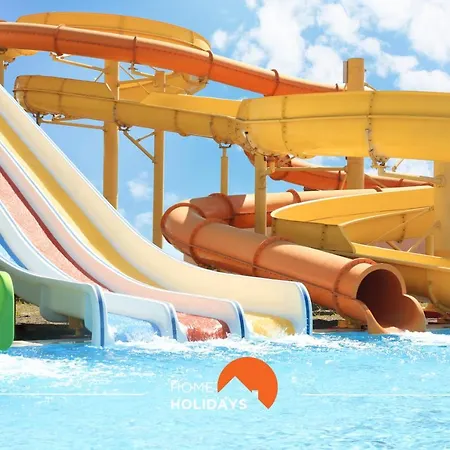 #058 T0 Oh Live By Holidays *