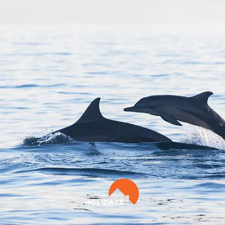 #058 T0 Oh Live By Holidays Apartmán *